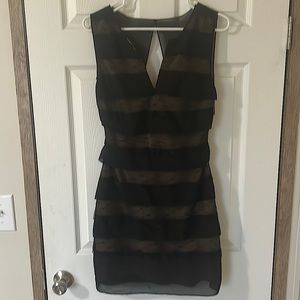 BCBG lace overlay dress